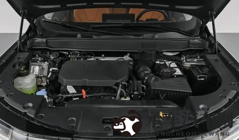 里番ACG  里番本子wwe：成人动画情色，同人本子摔跤盛宴-2