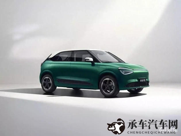 沈娜娜|汽车界传奇：她如何引领新能源汽车潮流-2