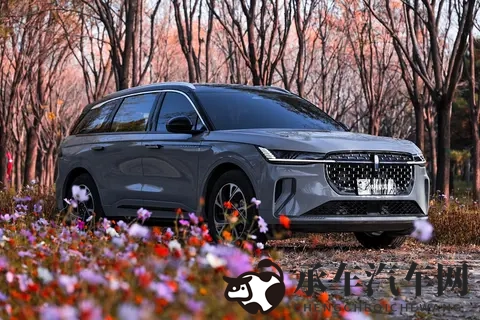 totakka haya kirguzu08was的作品特点|Kirguzu08was作品特色解析-2