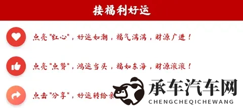 “五菱新车”揭身世谜团:纯血五菱不及合资,陈晓峰借壳破局-3