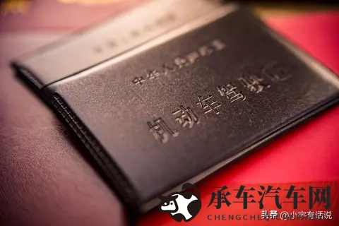 蘑菇成品视频红色logo|蘑菇剪辑作品，展现红标风采-3