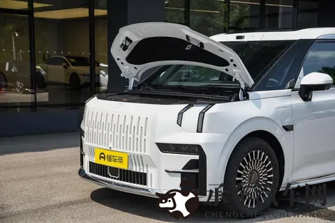 极氪009:宜商宜家豪华MPV,精英家庭优选,11月入手正当时!-3