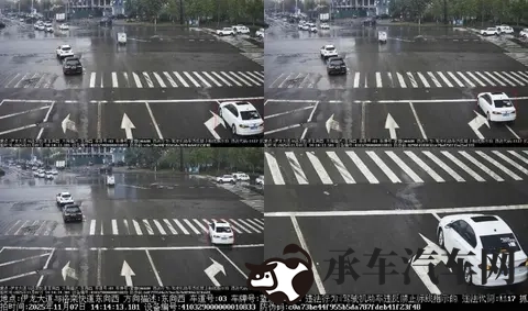 豫C35M00、豫C455CC……这21辆车被“点名”！-2