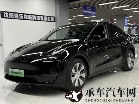 15万多拿下特斯拉Model Y，圆你电车梦？-1