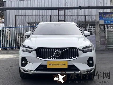 天天日天天爱|日日相伴，爱意绵绵-1