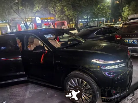 #乐道L90#提车作业-2