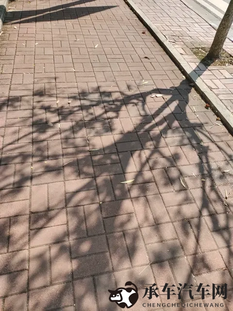 秋天的湖边真的太适合发呆了！开小冒去淀山湖-1