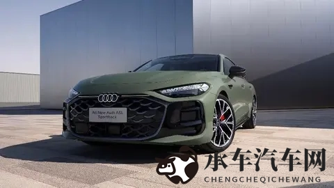 广州车展前瞻:奥迪E5 Sportback特别版,还有用户共创-1