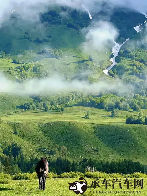 王者女性的全身无小爱心壁纸：女性专属汽车设计，潮流魅力征服眼球-1