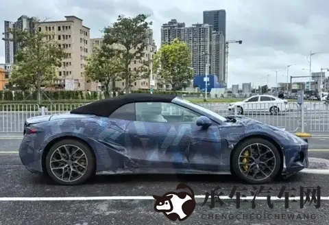 四个黑人玩一越南女|汽车圈奇观引热议：多元文化交融下的营销新风向-2