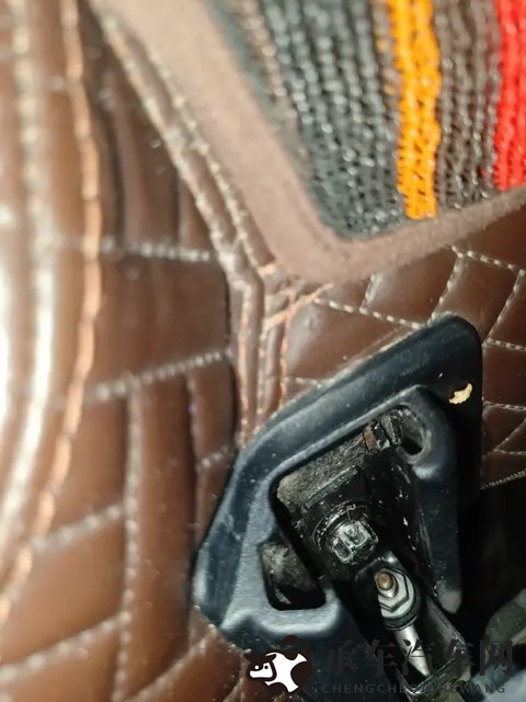 男生和女生一起拆拆很痛|男女携手拆痛处，共享艰难时刻-2