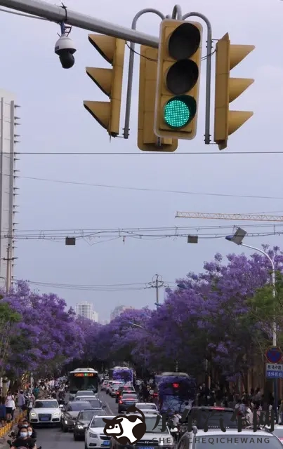 绿灯不走也违法？交通规则背后的那些你不知道的事-1