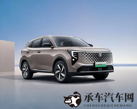 调教 支配 受虐 狂 极端|扭曲情感，极端心理探索-1