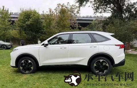 能否延续经典？ 哈弗H6L上市，售价1039万起-2