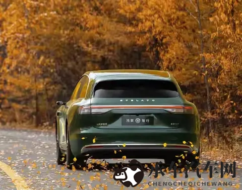 30万选S9还是S9T？老款卖不动的坑，新款能填上？-2