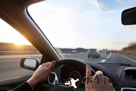 13岁戴紫色面具的小女孩|神秘面纱下,13岁少女的紫色世界-3