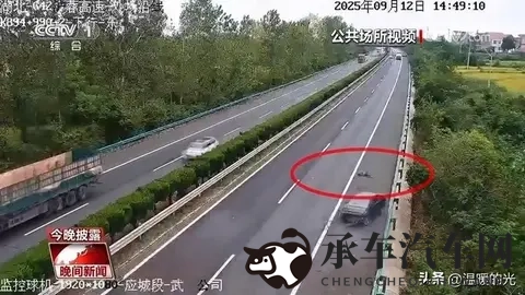 紧急辟谣！事关驾照扣分和后排安全带，车主必看！-2