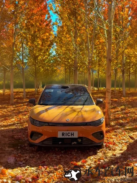 轿跑+翻毛皮内饰，零跑Lafa5凭什么被年轻人当“大玩具”？-2