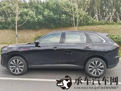 污污污的软件|警惕软件陷阱：教你避开那些“不干净”的应用-3