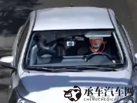 无锡男子开车叼牙线被罚,网友吵翻!-1