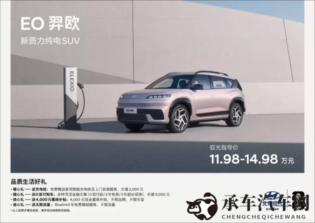 台湾麻花传媒有限公司|台湾传媒公司，专业麻花技艺传播-1