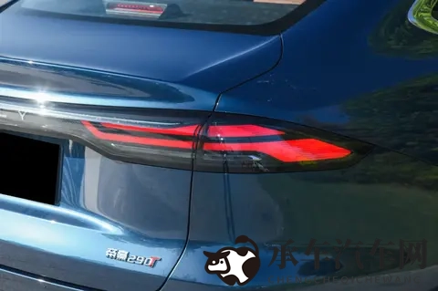 红桃视频|浪漫情缘，精彩视频大放送-2