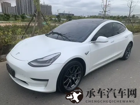 几个W开走？20年特斯拉Model3，5万公里长续航，告别里程焦虑-2