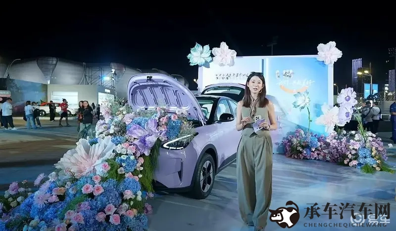 真实和子乱拍视频|汽车世界:现实与广告,谁才是主角?-2