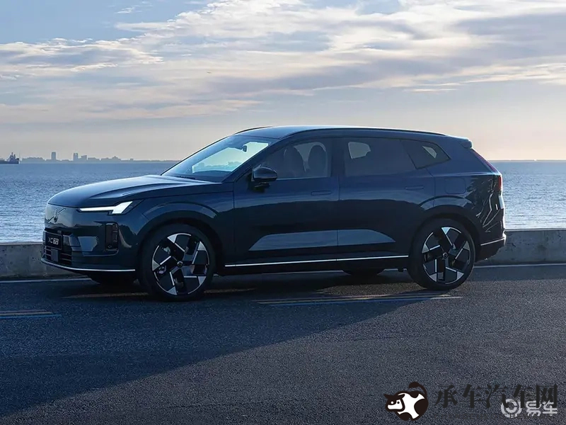 电影玛露的园丁|玛露花园中的神秘守护者-1