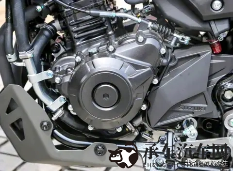 2026款DL250改款引争议：仅换LED灯+加涂装，摩友吐槽敷衍！-2