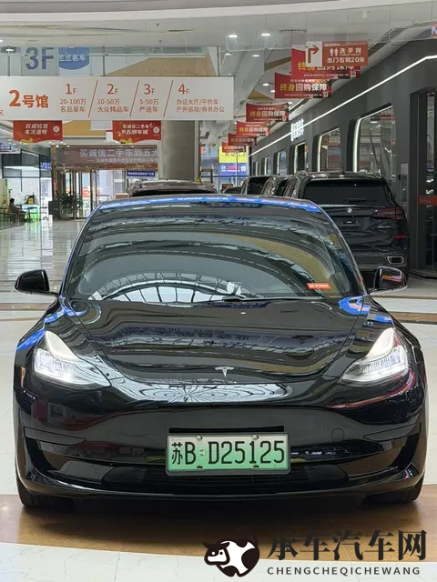 十年老车也疯狂？二手特斯拉Model3还能再战几年？-3