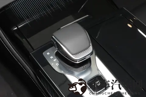 家庭与商务的双重适配 —— 红旗 H9 版本选择的实用逻辑-1