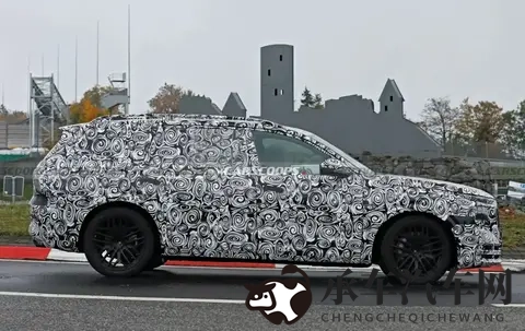 奥迪Q9霍希版谍照曝光！搭V8发动机，竞争迈巴赫GLS？-2