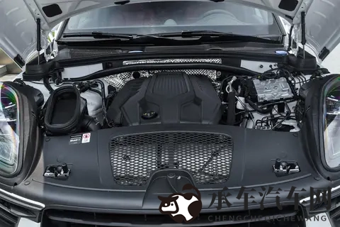 furry狼人巨大粗爽GV动漫|奇幻狼人巨兽动漫，狂野激情视觉盛宴-1