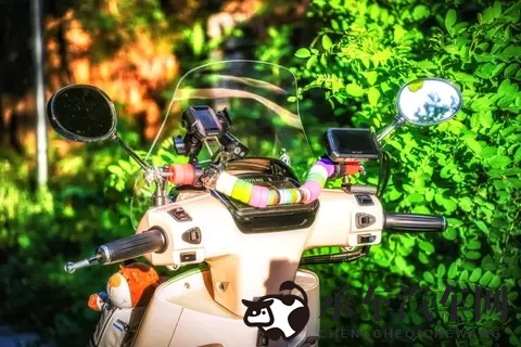 【车主说】对象觉得VRX150好看，最满意动力和油耗-1