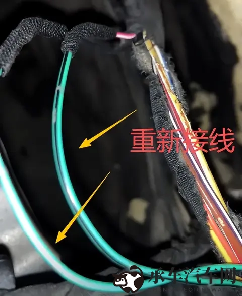 汤姆视频的最新网名：探寻汤姆视频的新昵称揭晓-3