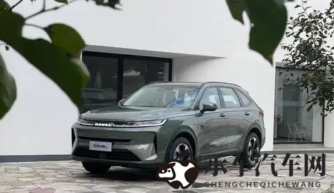 亚洲女毛多水多|亚洲女性偏爱舒适车饰,揭秘内饰新潮流-1