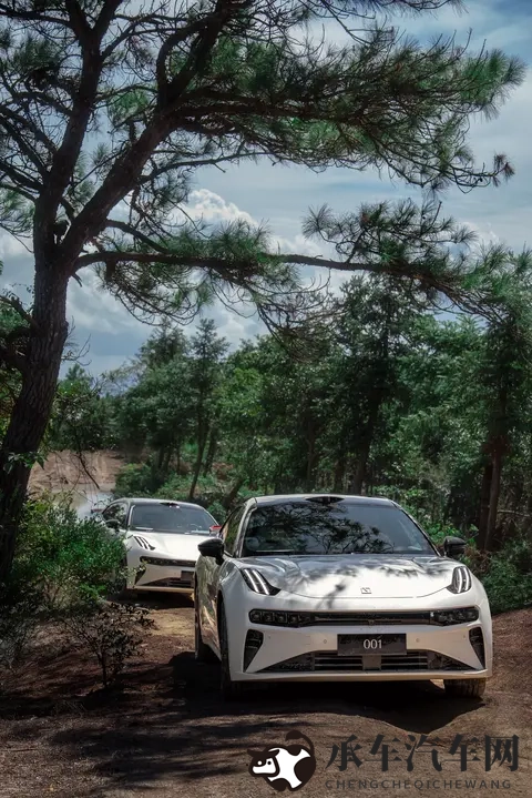 打扑克牌又疼又叫软件下载|扑克游戏体验不佳，软件下载需注意-3