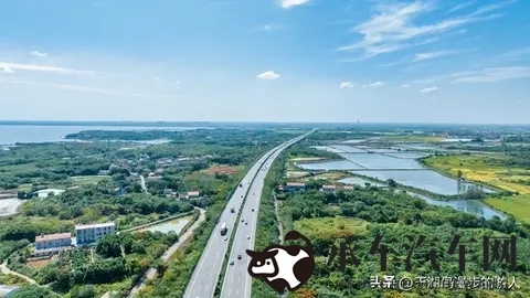 别瞎开ECO！90%车主踩坑还不知，这些情况开了必费油！-2