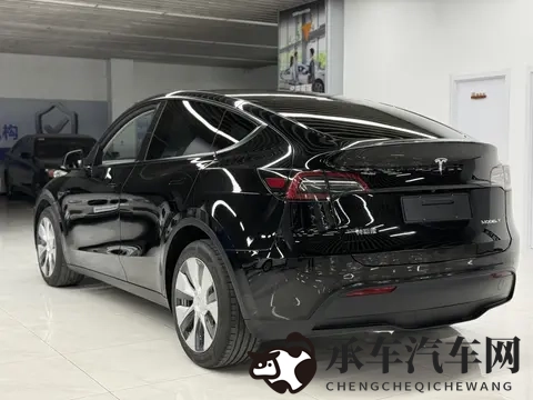 15万多拿下特斯拉Model Y，圆你电车梦？-2