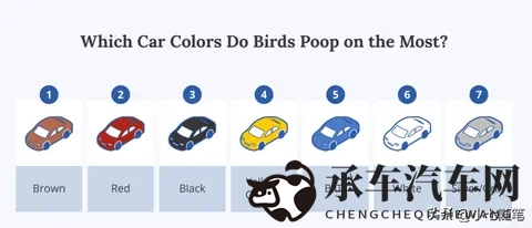 鸟真的会更喜欢在某些款式和颜色的车上拉屎吗?-2