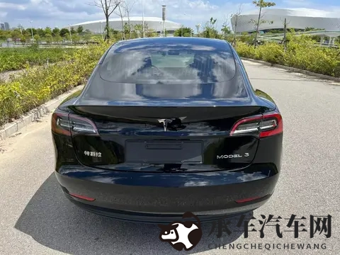10万出头，圆你“特斯拉”梦——二手Model3-1