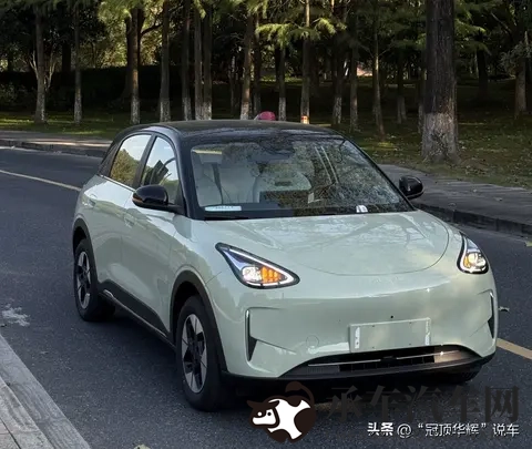 吉利进英，比亚迪遇冷，电动车战场谁在暗中较劲？-2