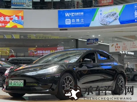 十年老车也疯狂？二手特斯拉Model3还能再战几年？-2