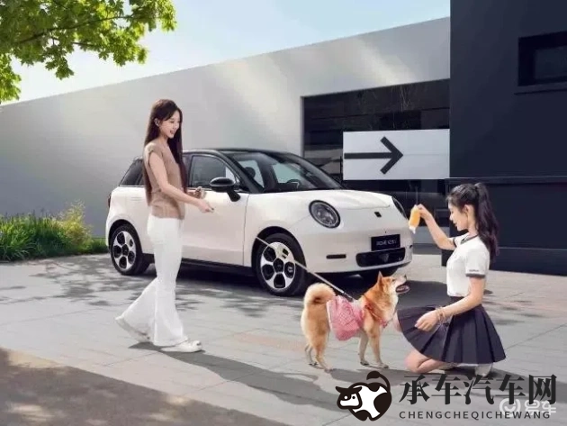 丫头肥嫩小缝馒头|新一代SUV爆款，设计独特性能强劲-2