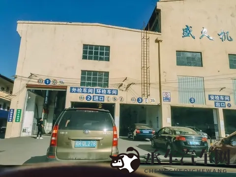 欧美浓毛老太大泬毛茸茸|欧美老妇浓密毛发，毛茸茸形象引人注目-2