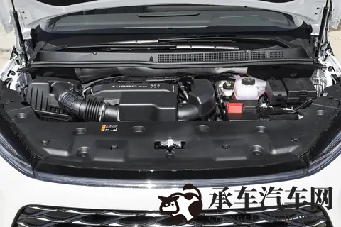 麻花传沈娜娜|新能源汽车创新先锋,引领行业新潮流-1