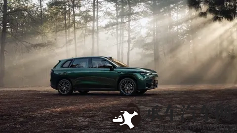 月均销1w+台、5k补贴，还送5k选装基金，零跑C10凭啥成“爆款”？-3