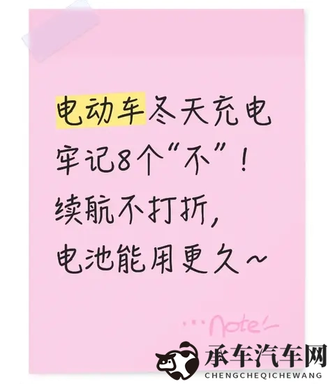 91制片厂女演员介绍|新能源汽车崛起，汽车选购指南大揭秘-2