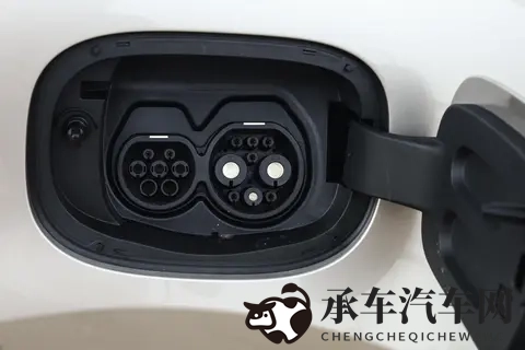 大菠萝福建官方人口2025|福建车市新宠：独特设计销量爆表-2